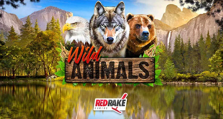 Wild Animals